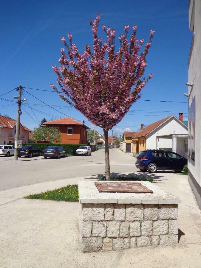 Apartman Bedem Niksic Ngoại thất bức ảnh